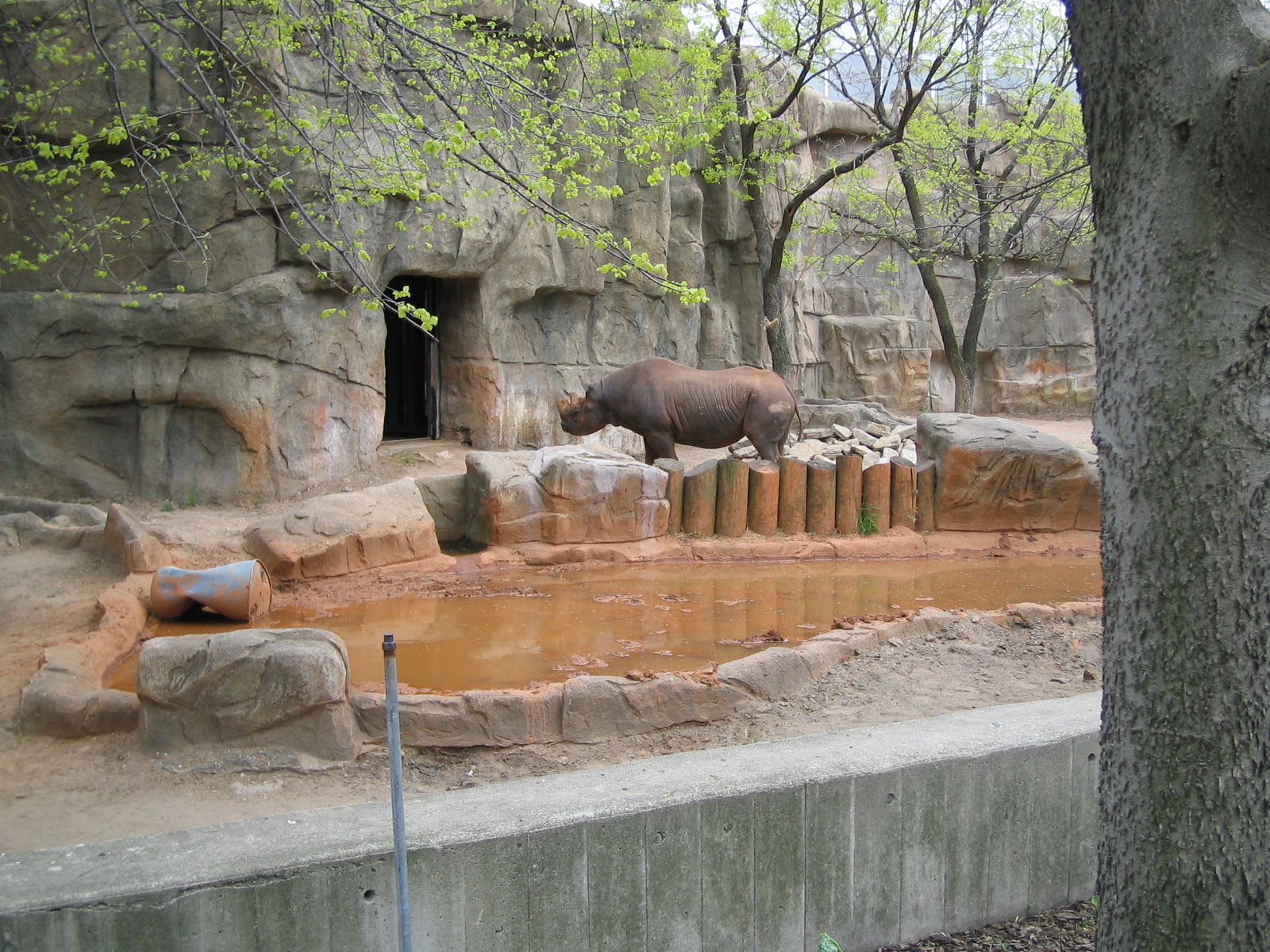 Chicago-05-05 070